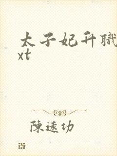 太子妃升职记txt