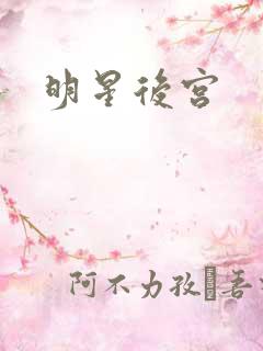明星后宫
