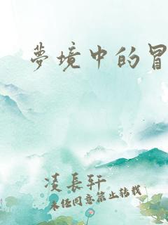梦境中的冒险家