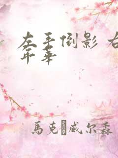 左手倒影 右手年华