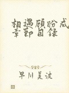 相遇顾盼成欢全章节目录