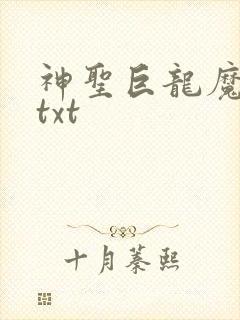 神圣巨龙魔法师txt