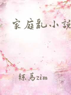 家庭乱小说