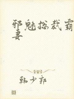 邪魅总裁霸占新妻