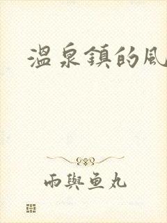 温泉镇的风流事
