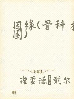 因缘(骨科 校园)