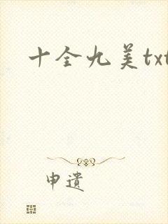 十全九美txt