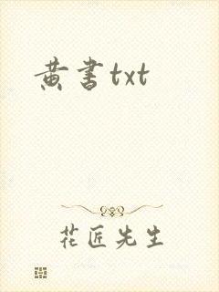 黄书txt