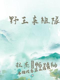野王来组队小说