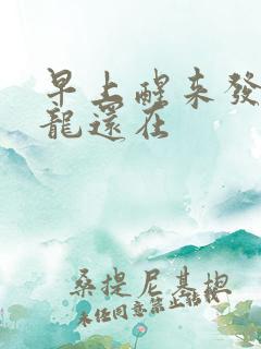 早上醒来发现巨龙还在