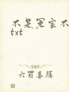 不是冤家不聚头txt