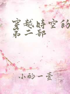 穿越时空的爱恋第二部