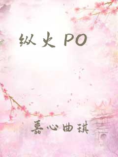 纵火 PO