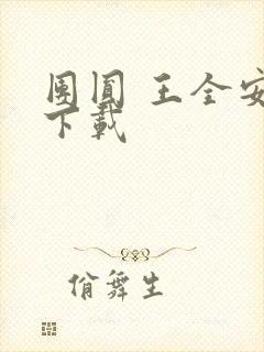 团圆 王全安 下载