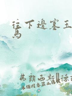 往下边塞玉器骑马