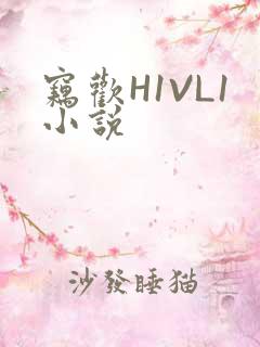 窃欢H1VL1小说