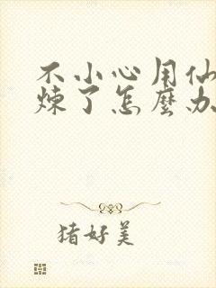 不小心用仙君修炼了怎么办