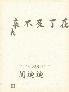 来不及了在车ch