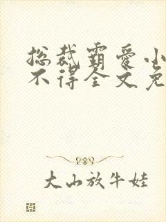 总裁霸爱小妻惹不得全文免费阅读笔趣阁