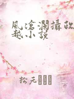 风沧澜摄政王穿越小说