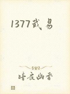 1377武易