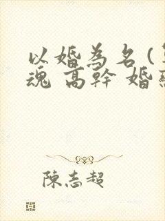 以婚为名 (军魂 高干 婚恋)