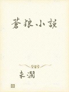 苍狼小说