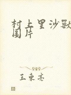 村上里沙兽皇及图片