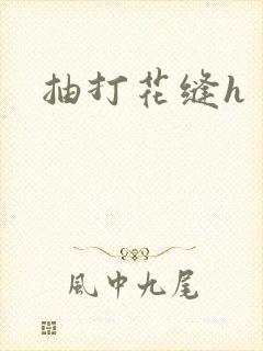 抽打花缝h
