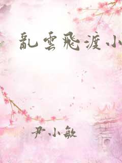 乱云飞渡小说