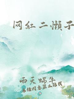 网红二懒子车祸