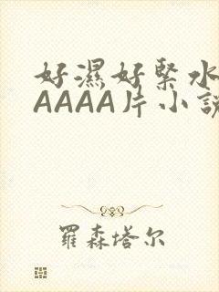 好湿好紧水多AAAAA片小说