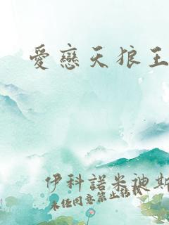 爱恋天狼王子