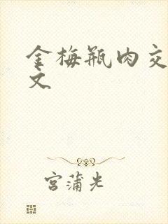 金梅瓶肉交白话文