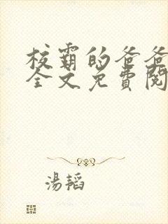 校霸的爸爸小说全文免费阅读