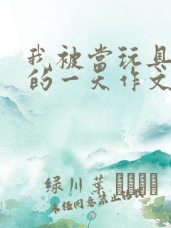 我被当玩具发泄的一天作文