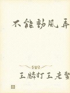 不能动风弄