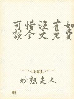 可惜没有如果小说全文免费阅读