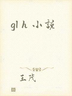 gl h 小说