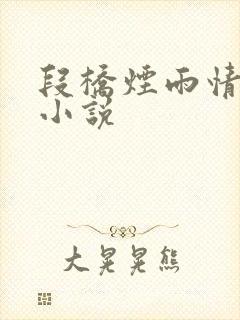 段桥烟雨情难离小说