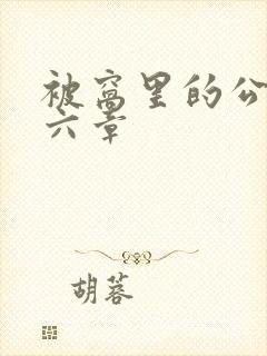 被窝里的公息十六章