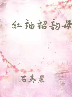 红袖招韵母攻略