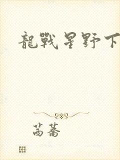 龙战星野下载