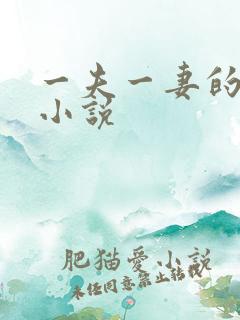 一夫一妻的玄幻小说