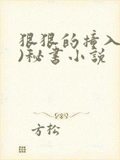 狠狠的撞入(h)秘书小说