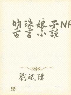 明珠娘子NPC古言小说