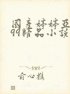 国产婷婷亚洲999精品小说