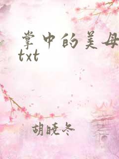 掌中的美母版主txt