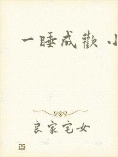 一睡成欢 小说