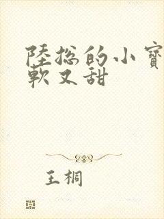 陆总的小宝贝又软又甜